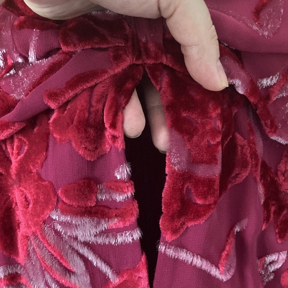 Erdem Carwen Dress 2018 Velvet Voile Jacquar Raspberry Size 6 - Picture 4 of 16